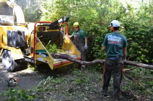 tree services Maple Hill